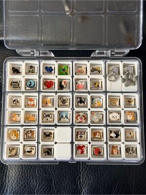 300+ Italian Charm Links – Dogs, Cats, Flowers, Food, Travel 10$+/ea